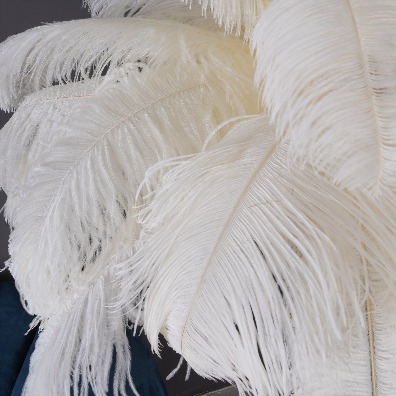 ostrich-feather-floor-lamp-anzaz--139