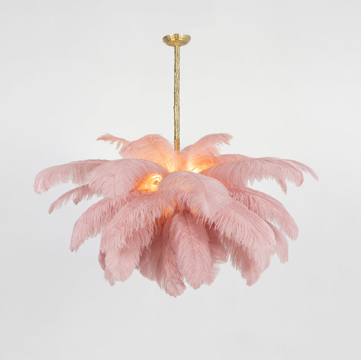 ostrich-feather-pendant-lamp-anzaz--166