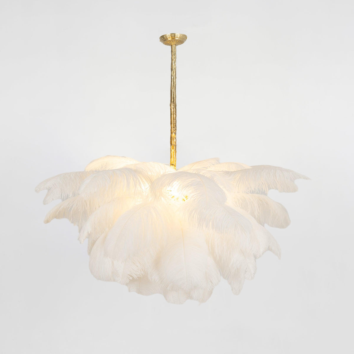 ostrich-feather-pendant-lamp-anzaz--168
