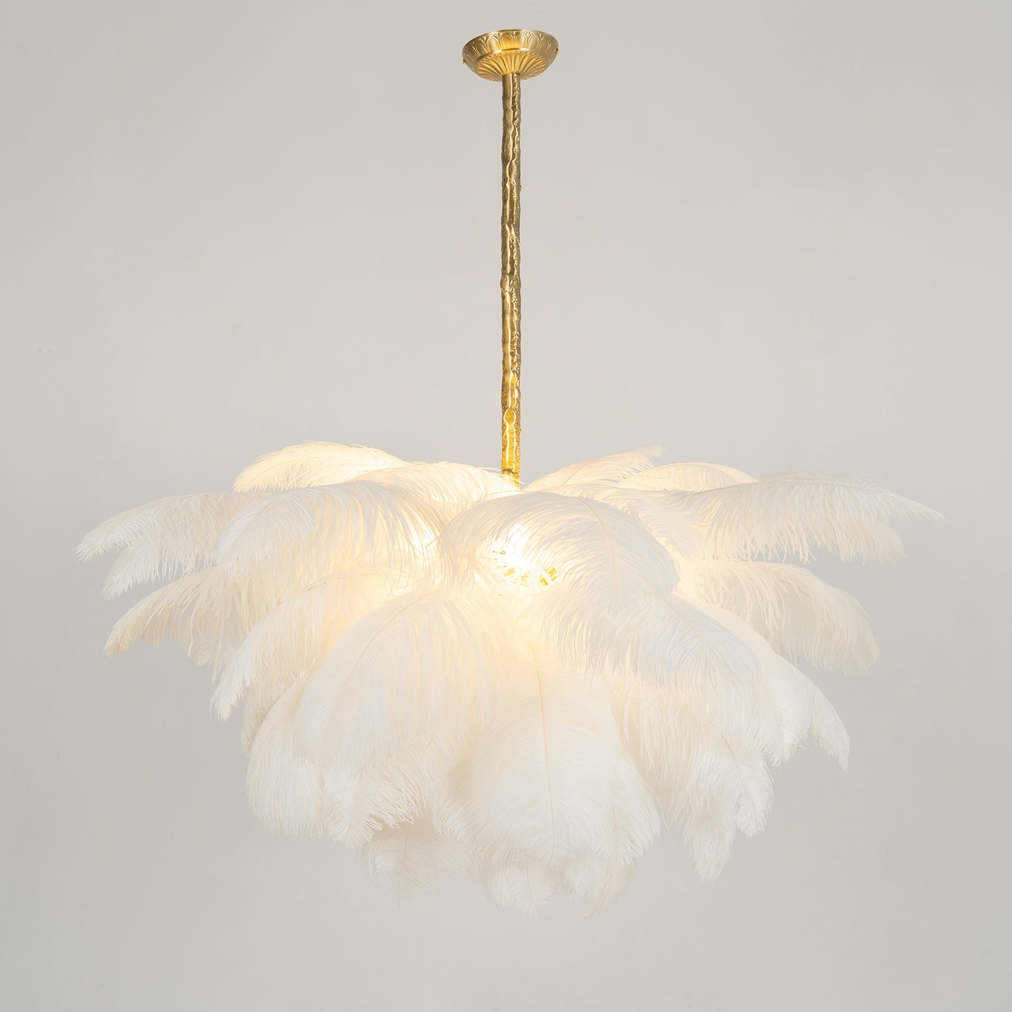 ostrich-feather-pendant-lamp-anzaz--131