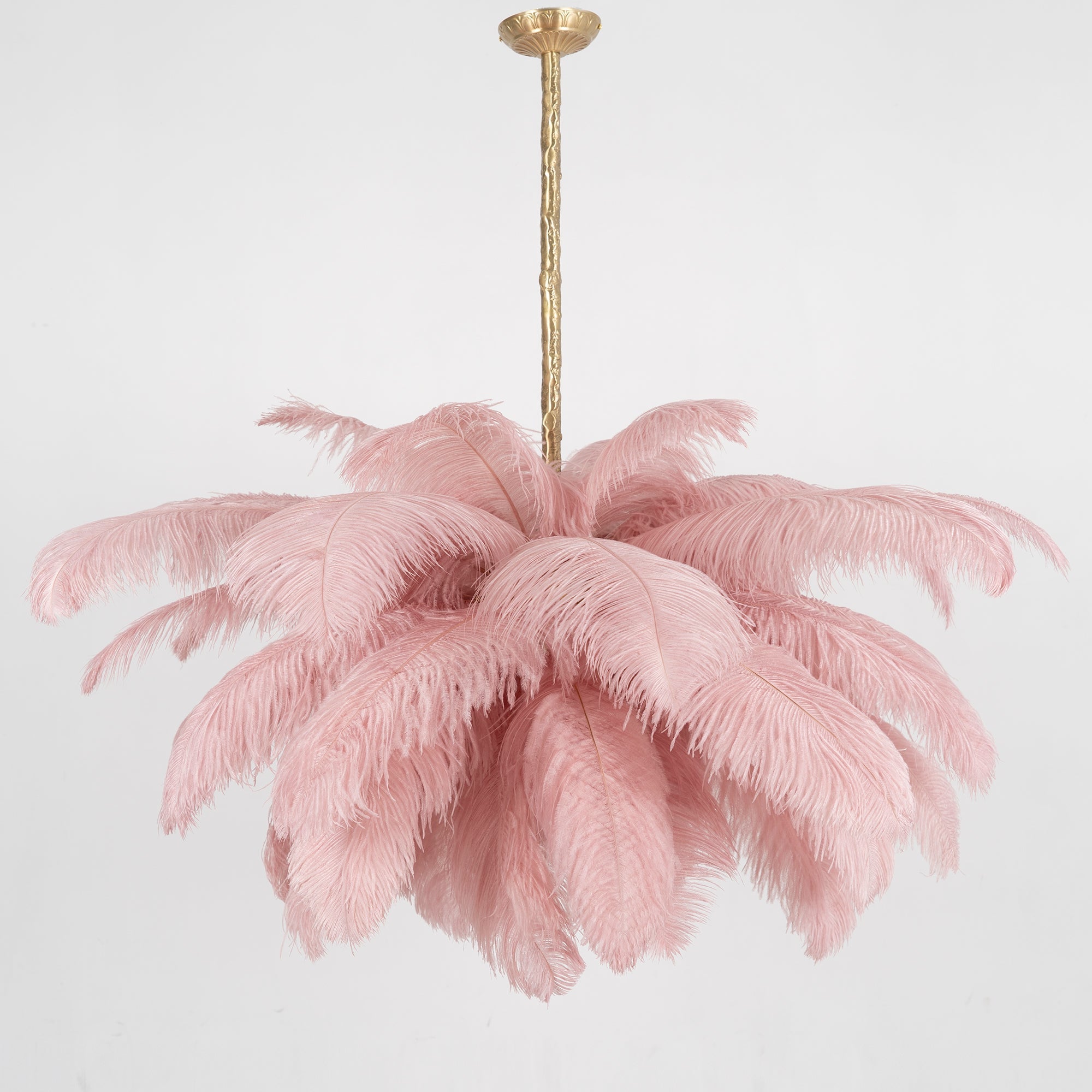 ostrich-feather-pendant-lamp-anzaz--132