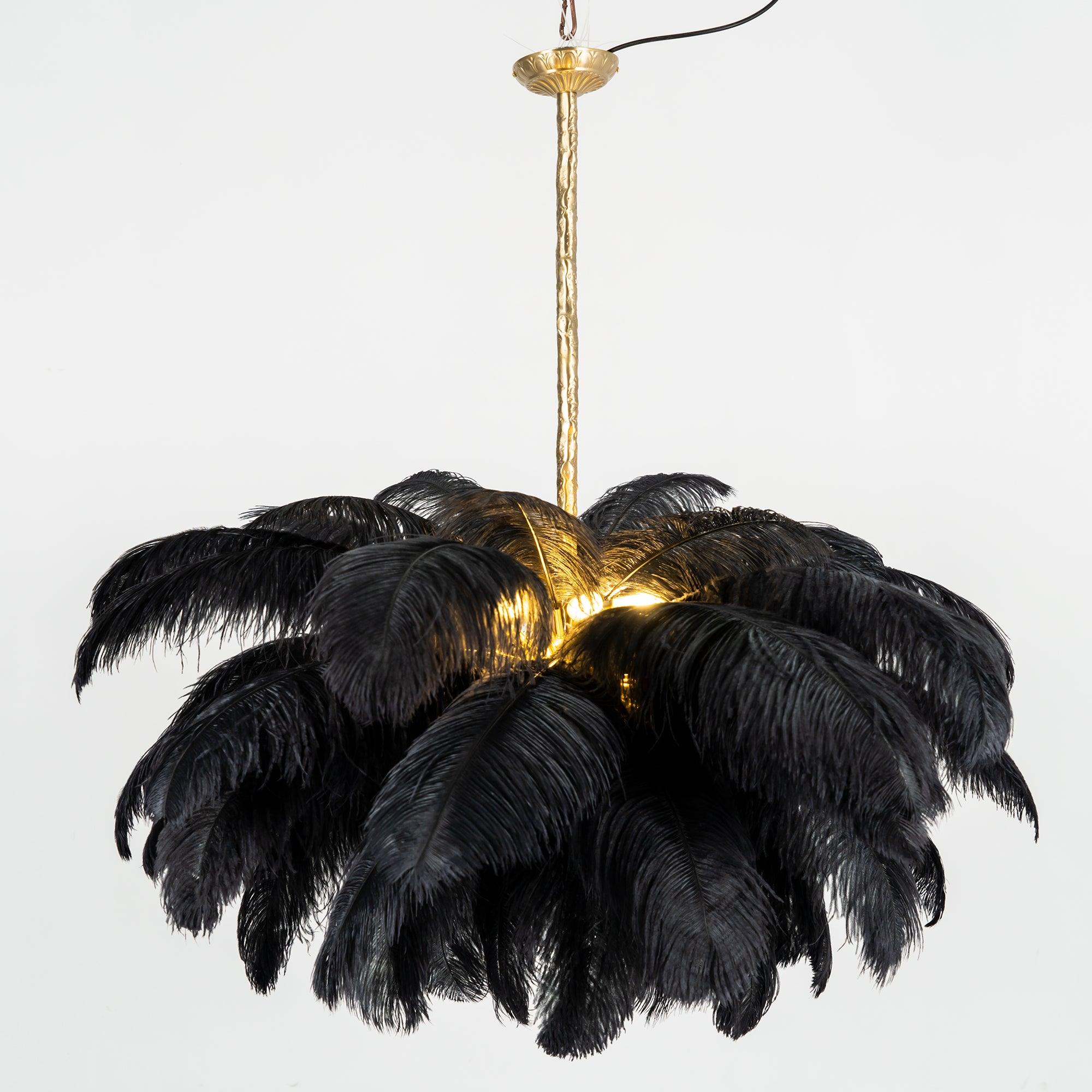 ostrich-feather-pendant-lamp-anzaz--53