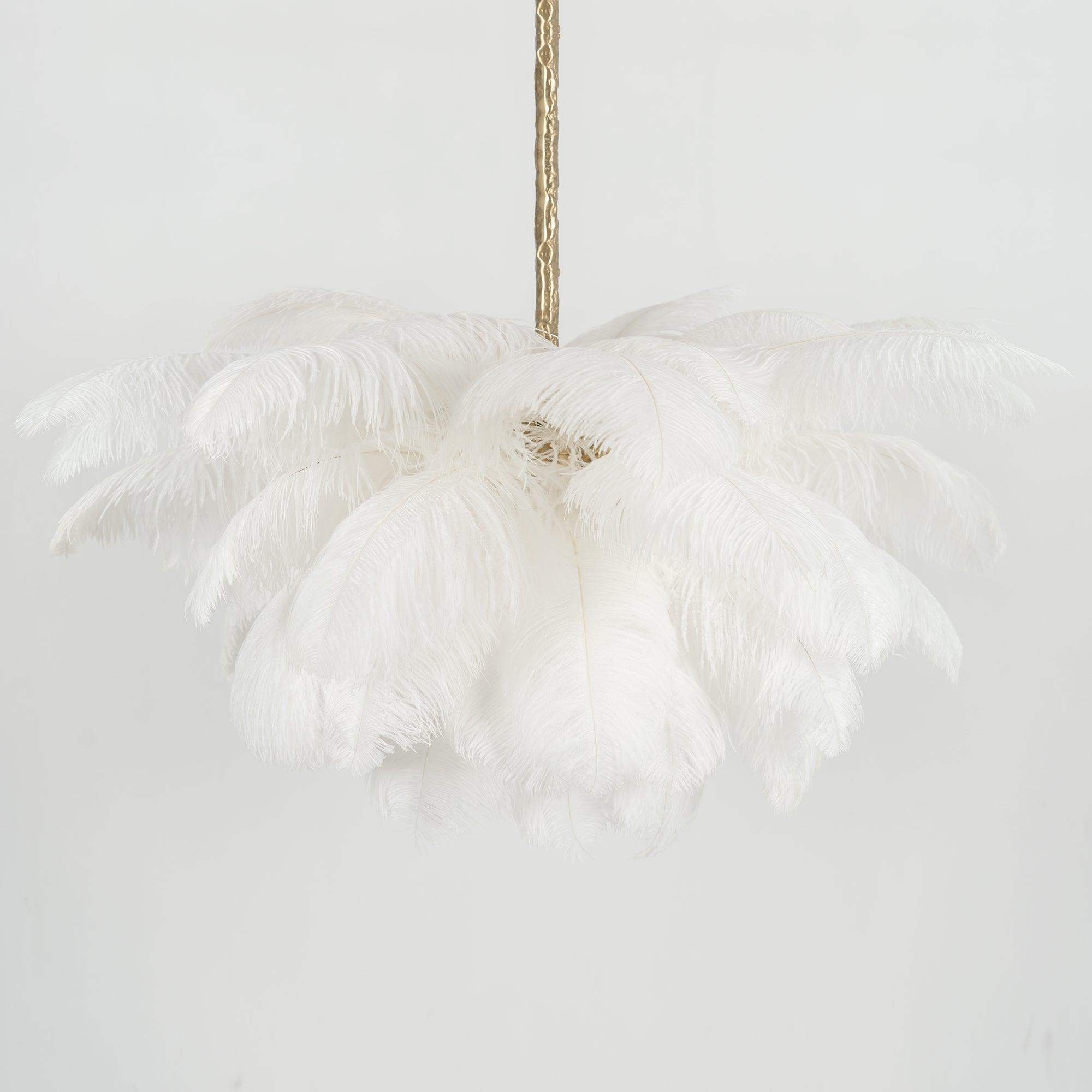 ostrich-feather-pendant-lamp-anzaz--64