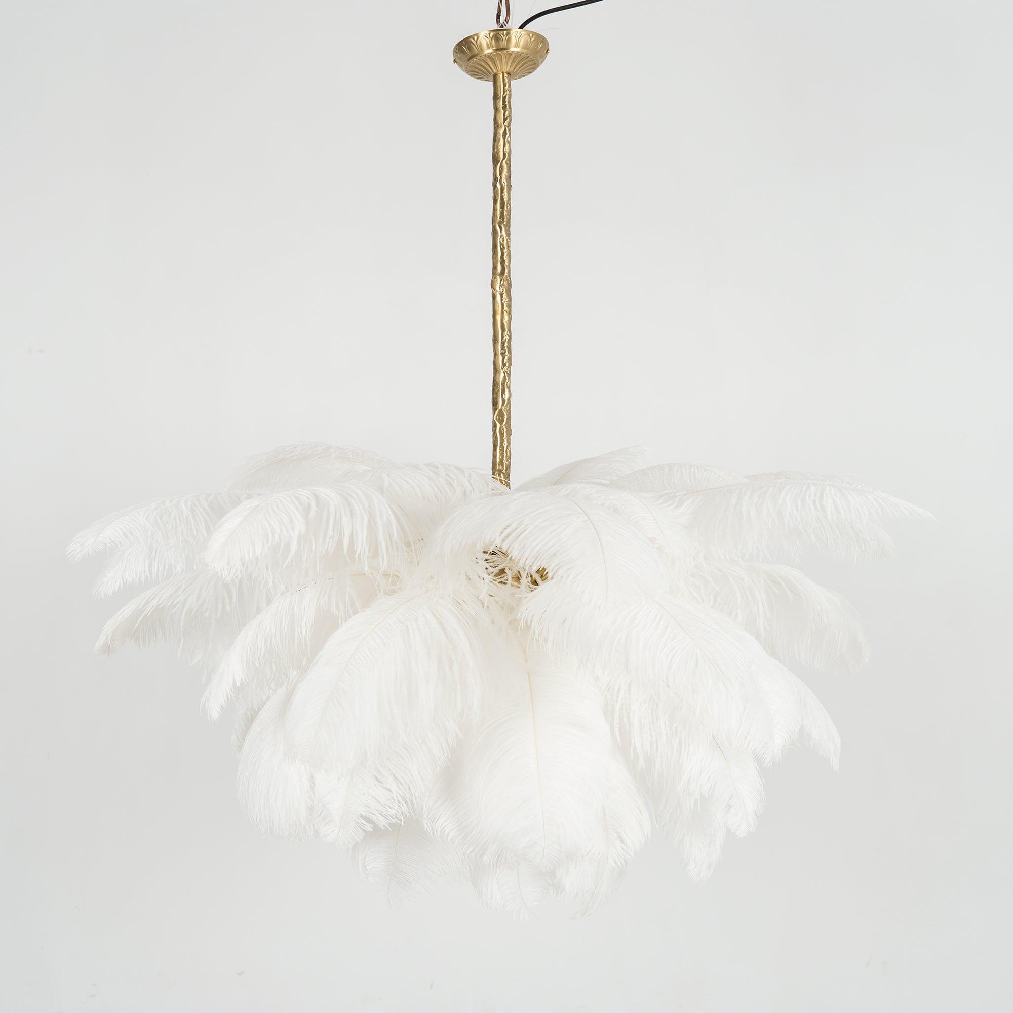ostrich-feather-pendant-lamp-anzaz--65