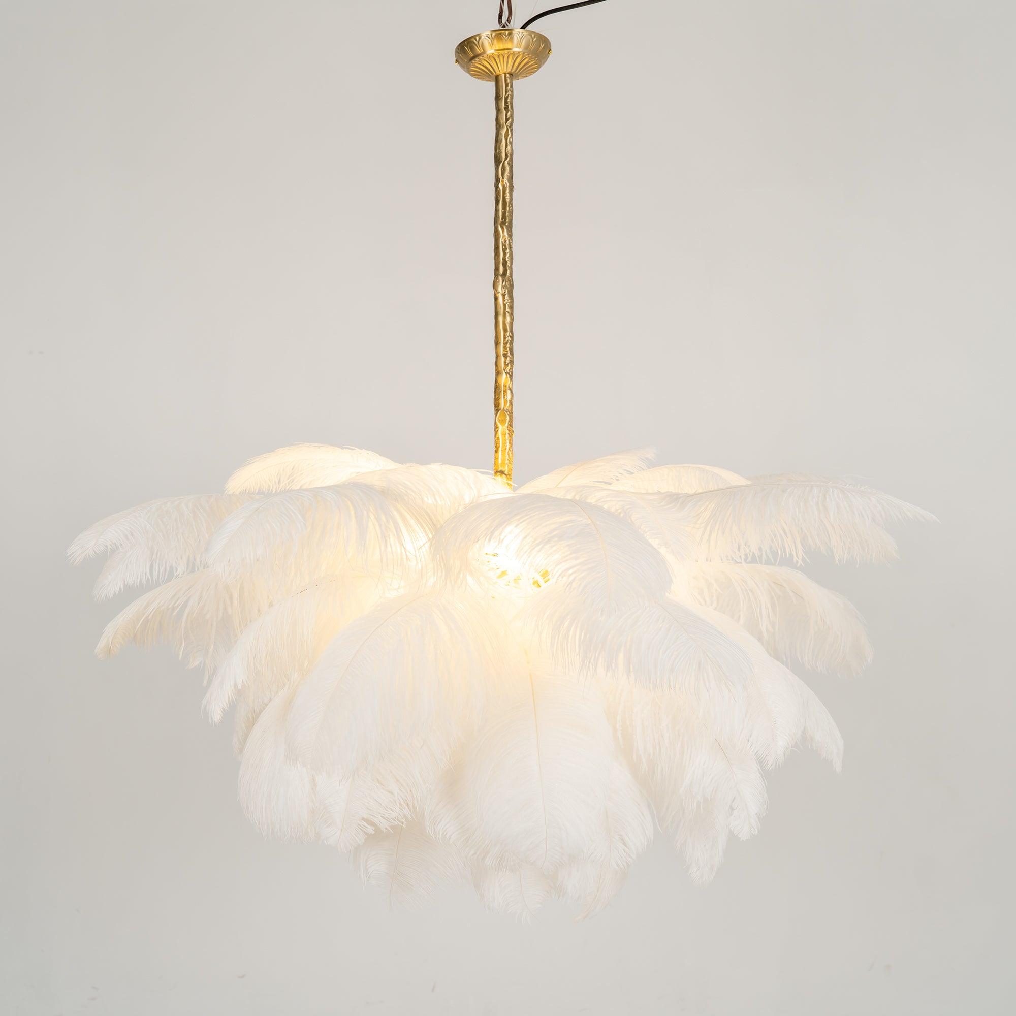 ostrich-feather-pendant-lamp-anzaz--66