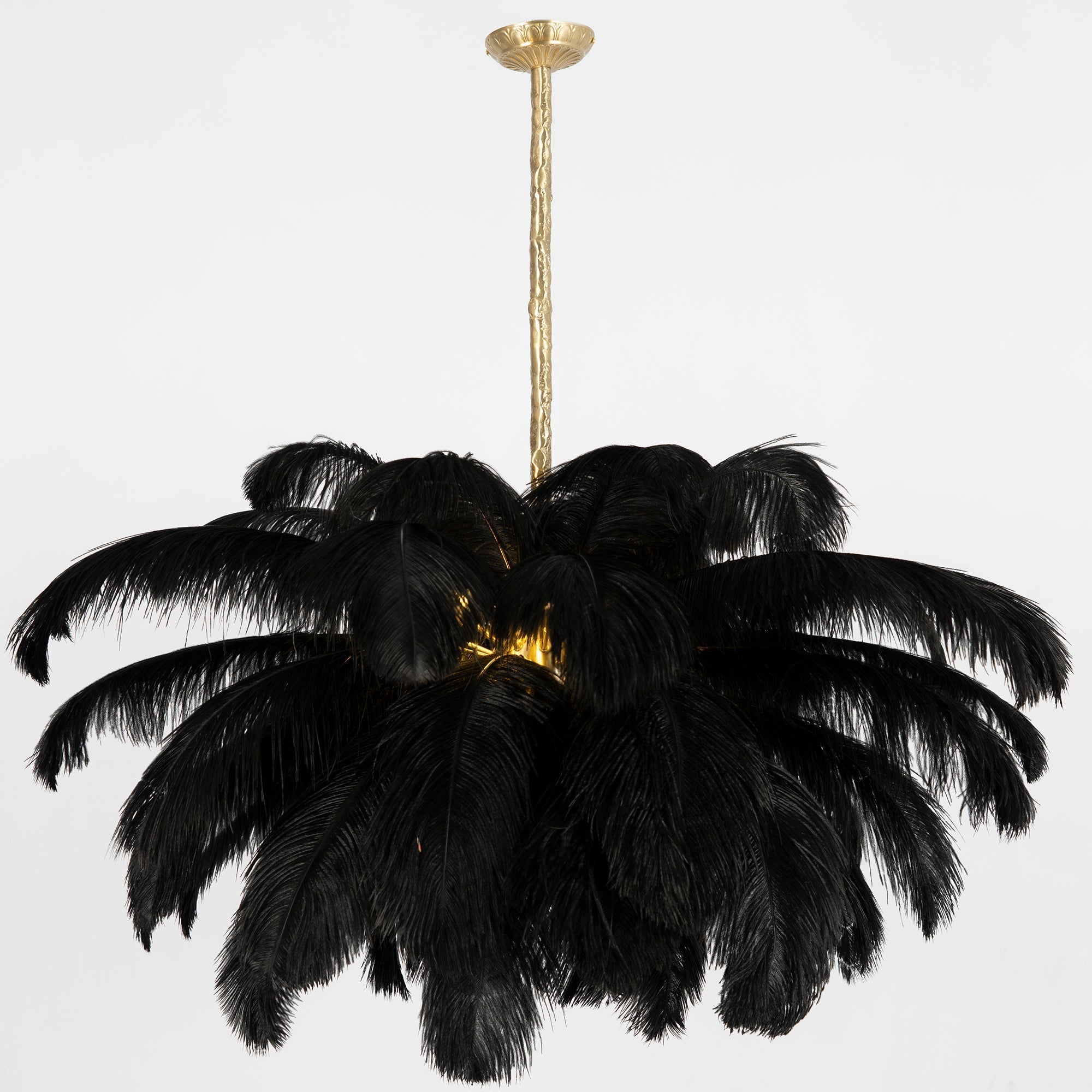 ostrich-feather-pendant-lamp-anzaz--138