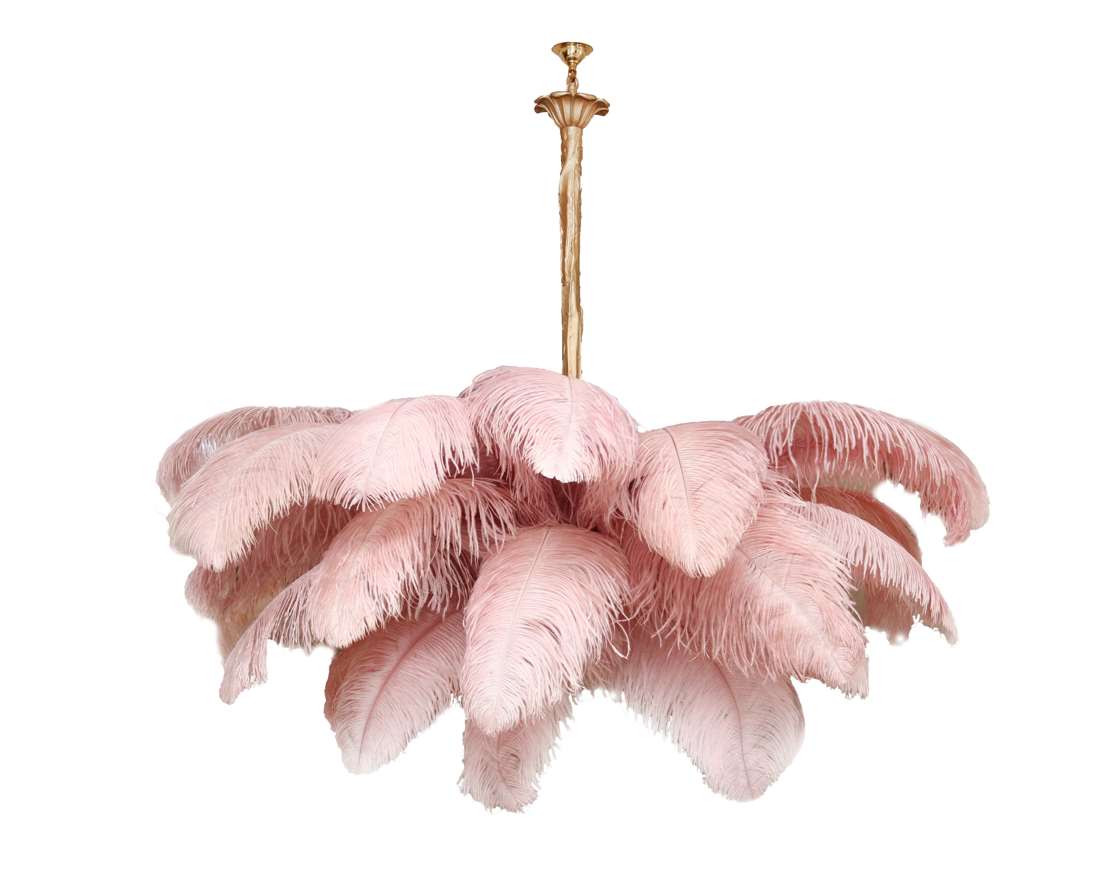 ostrich-feather-pendant-lamp-anzaz--126
