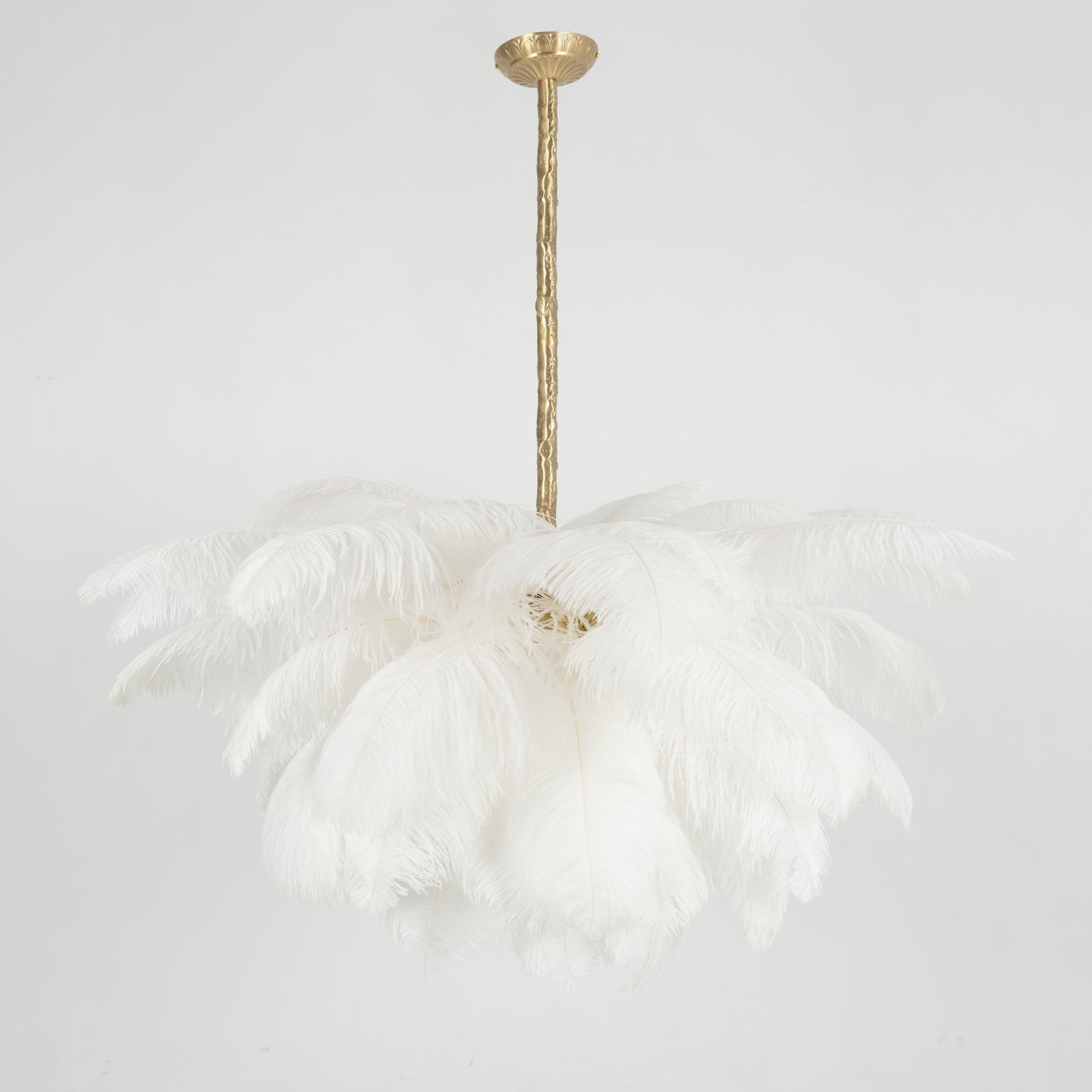 ostrich-feather-pendant-lamp-anzaz--158