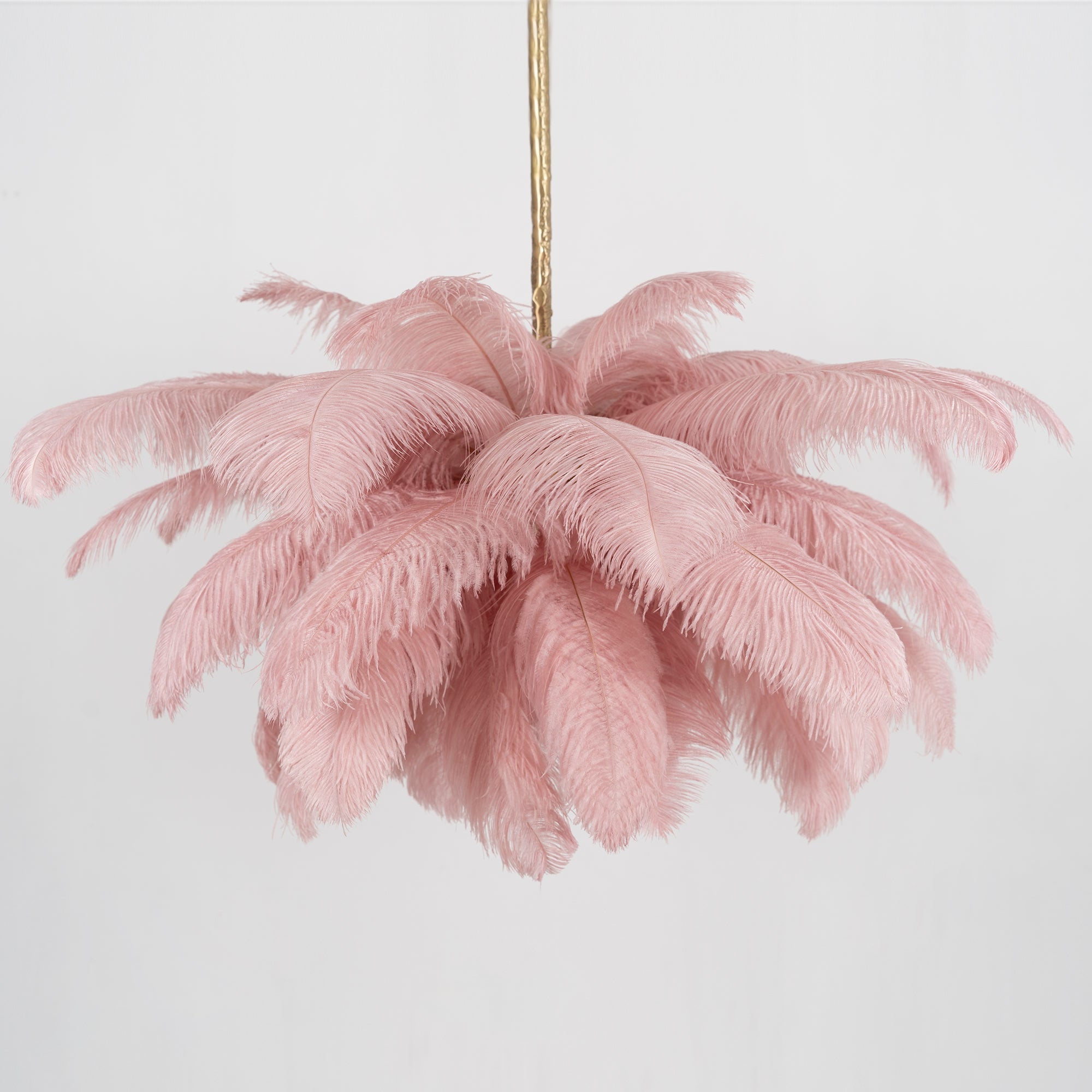ostrich-feather-pendant-lamp-anzaz--113