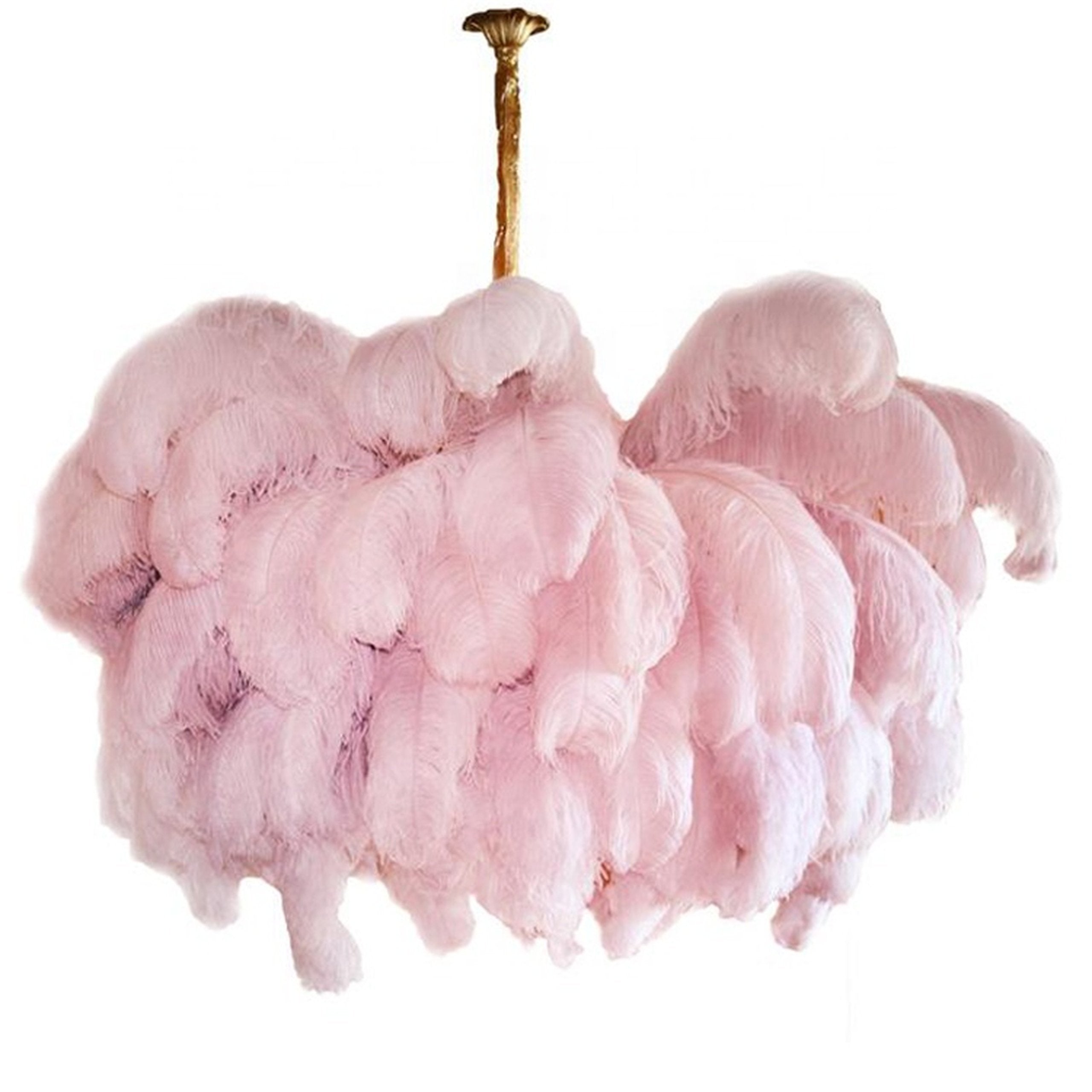 ostrich-feather-pendant-lamp-anzaz--114