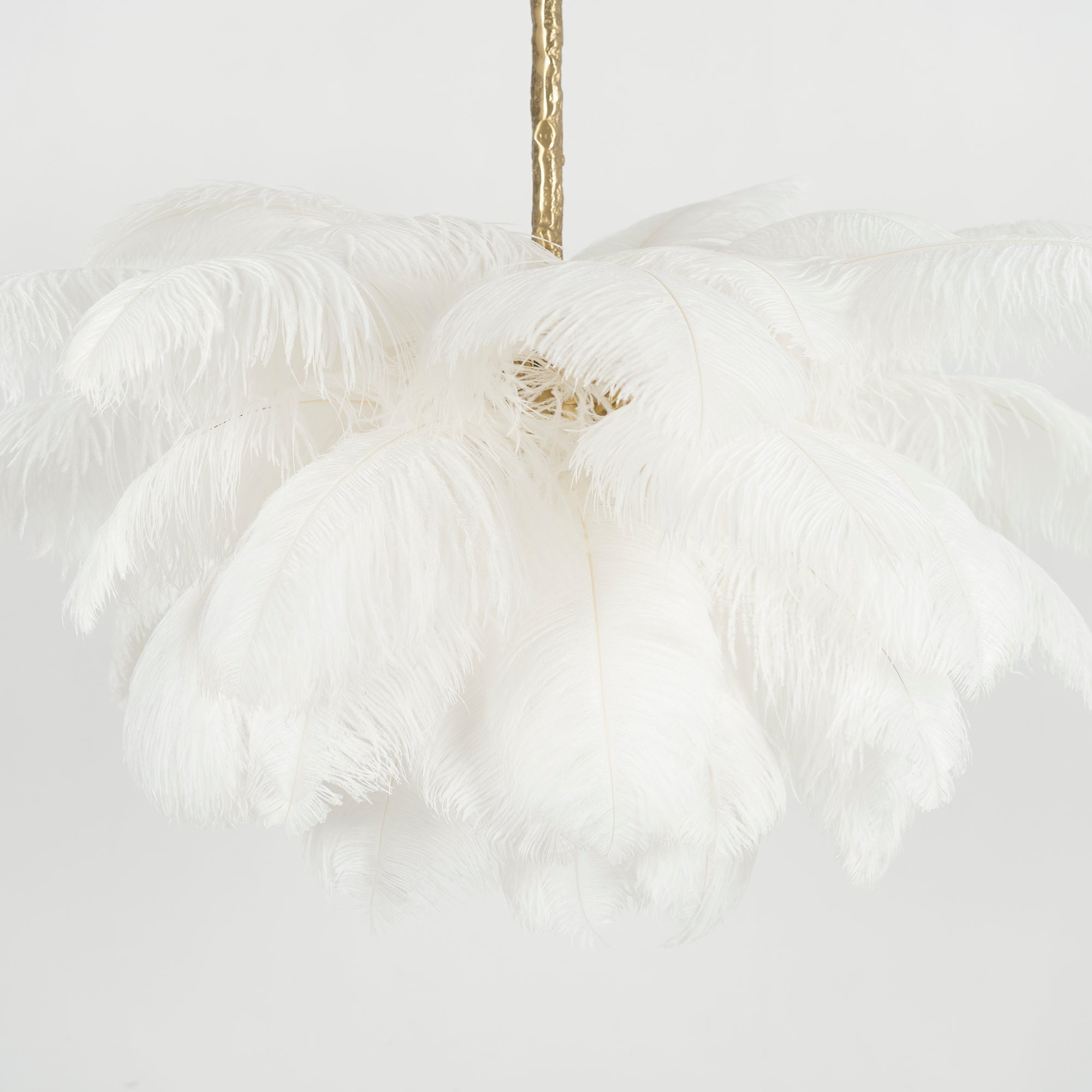 ostrich-feather-pendant-lamp-anzaz--116