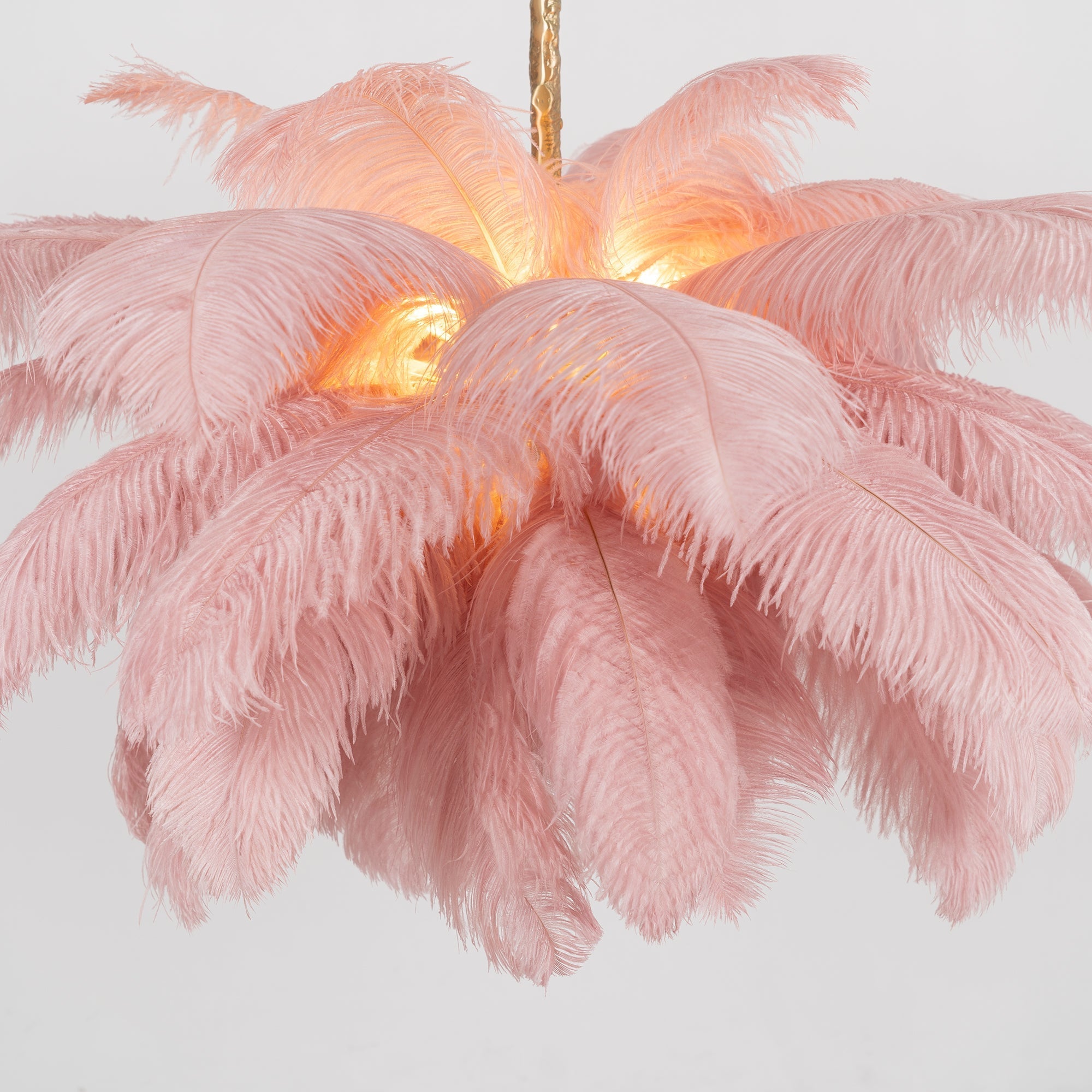 ostrich-feather-pendant-lamp-anzaz--117