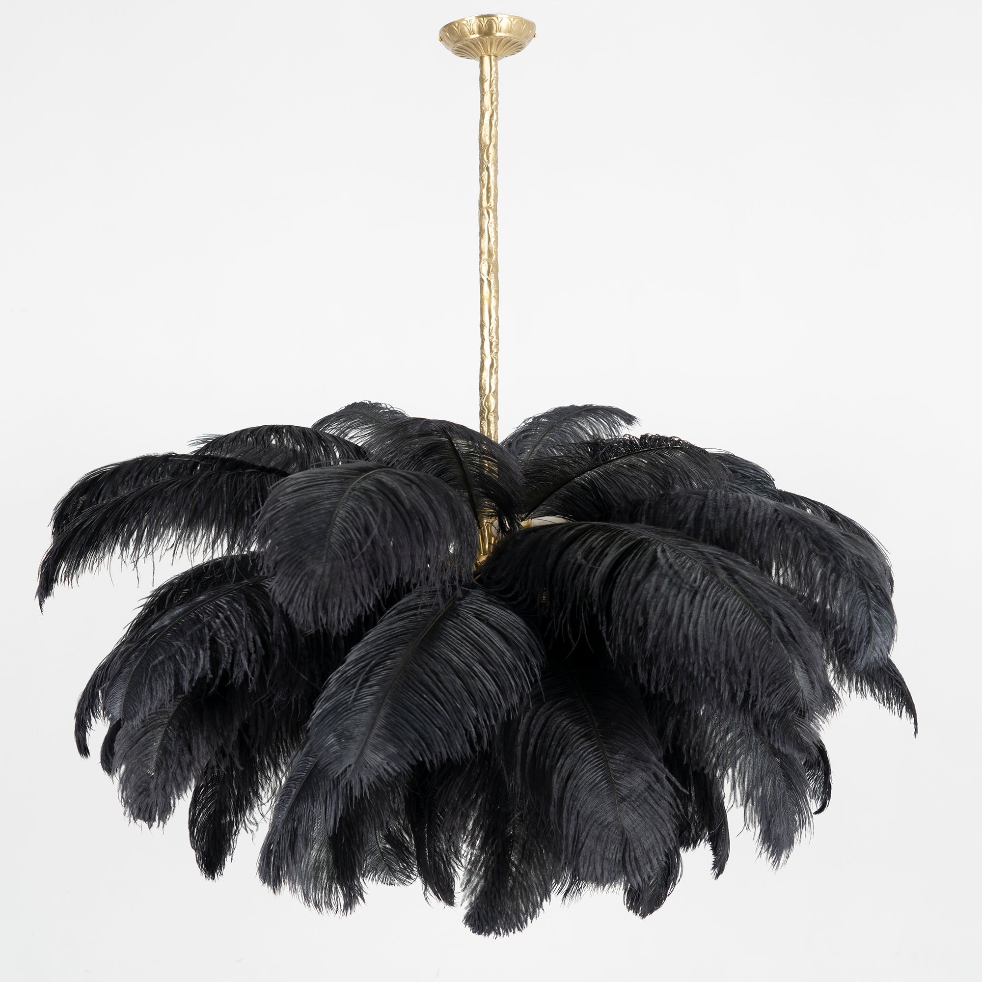 ostrich-feather-pendant-lamp-anzaz--119