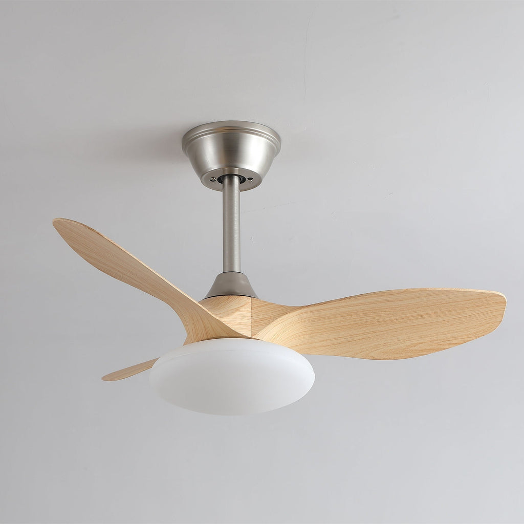 zephira-ceiling-fan-light-anzaz--10