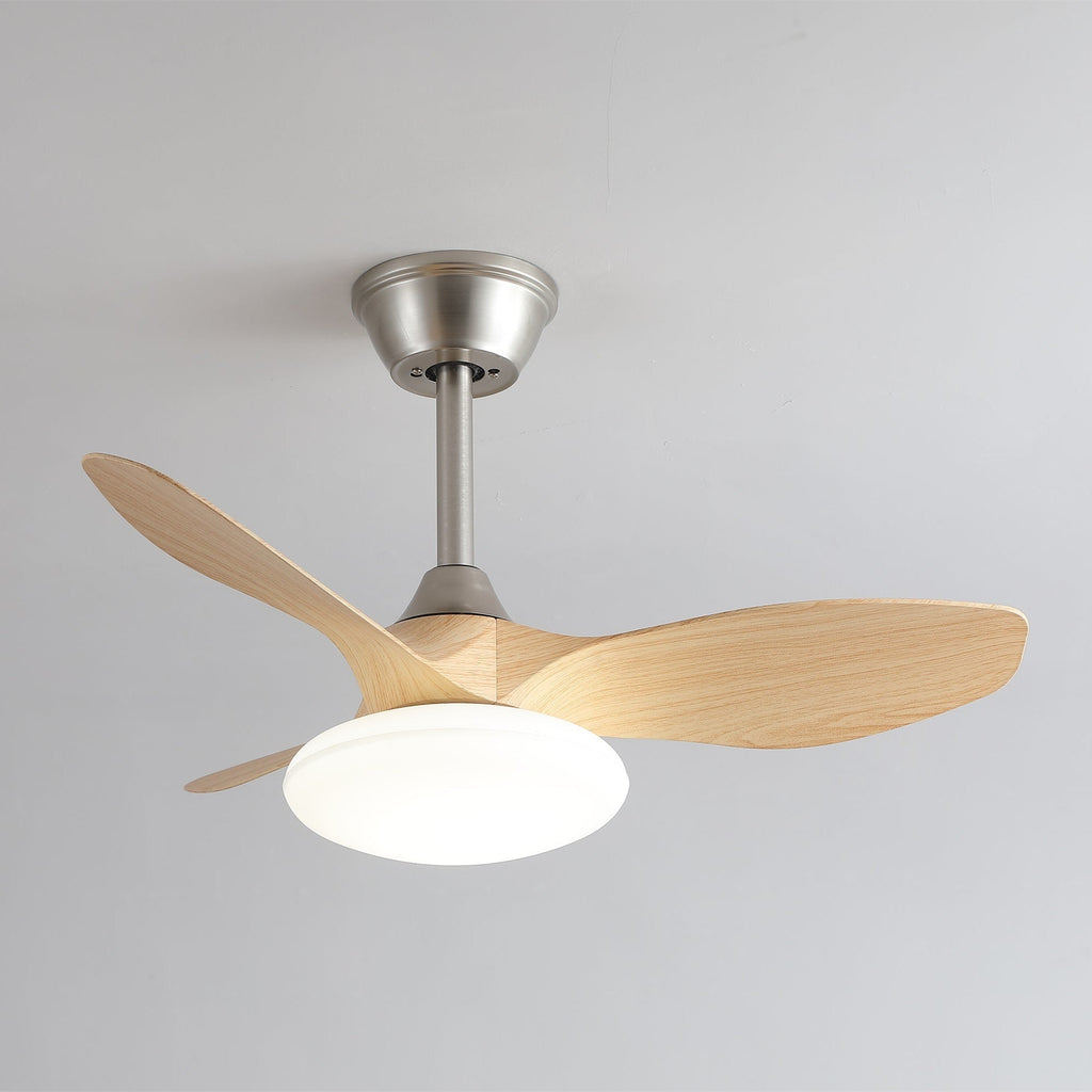 zephira-ceiling-fan-light-anzaz--12