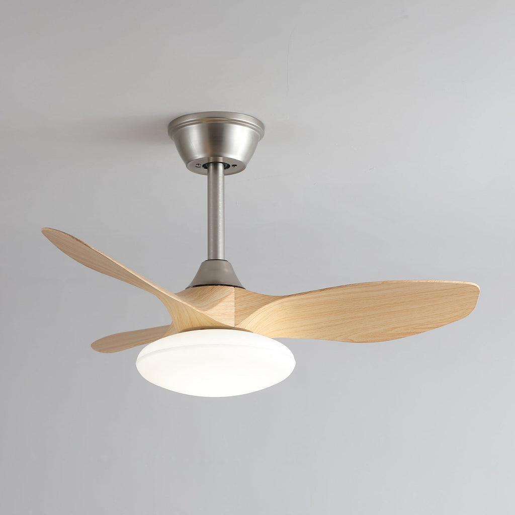 zephira-ceiling-fan-light-anzaz--13