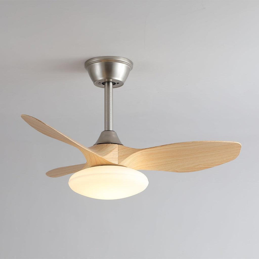 zephira-ceiling-fan-light-anzaz--14