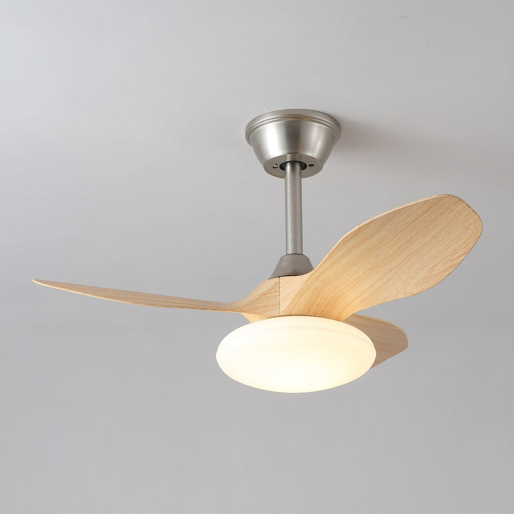 zephira-ceiling-fan-light-anzaz--16