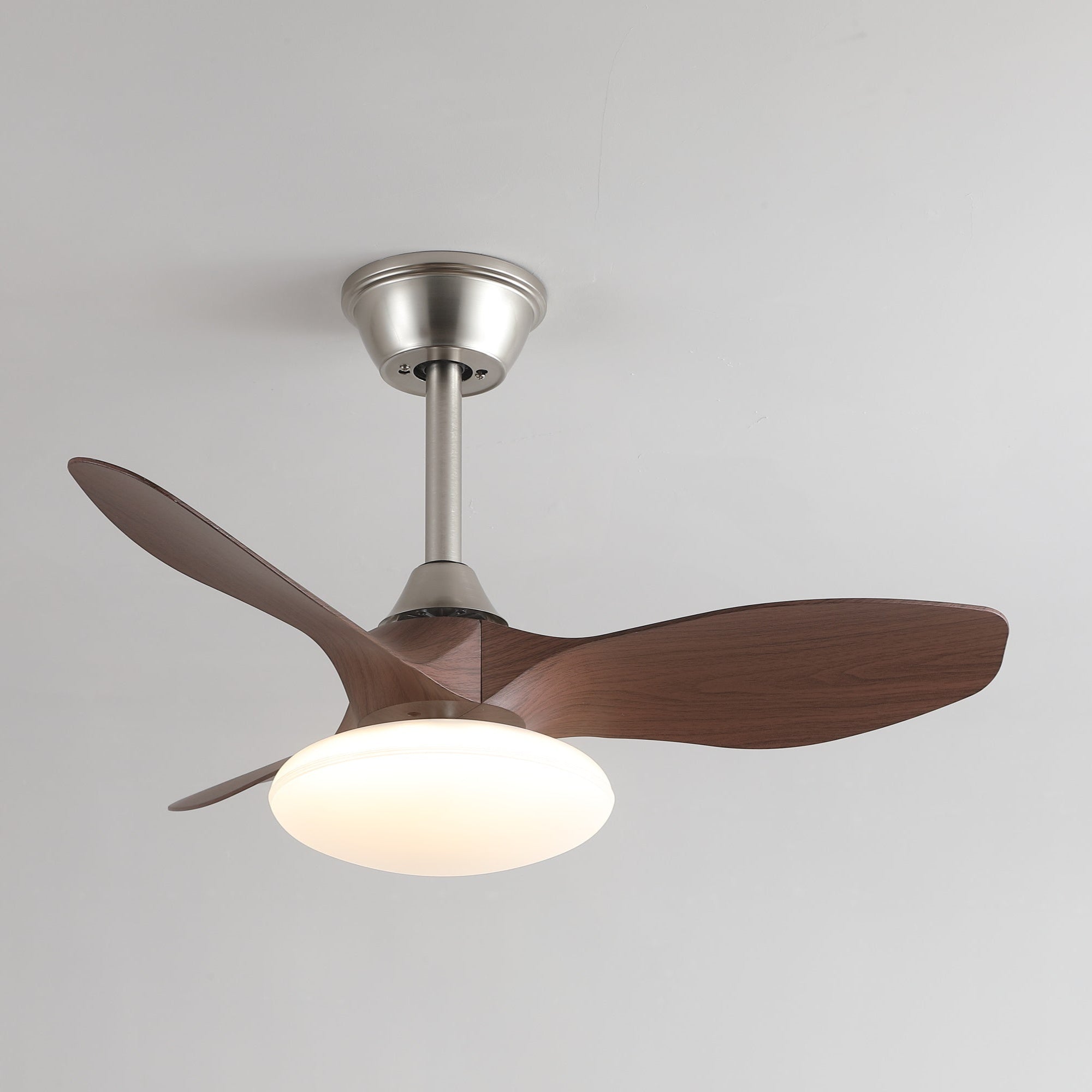 zephira-ceiling-fan-light-anzaz--4