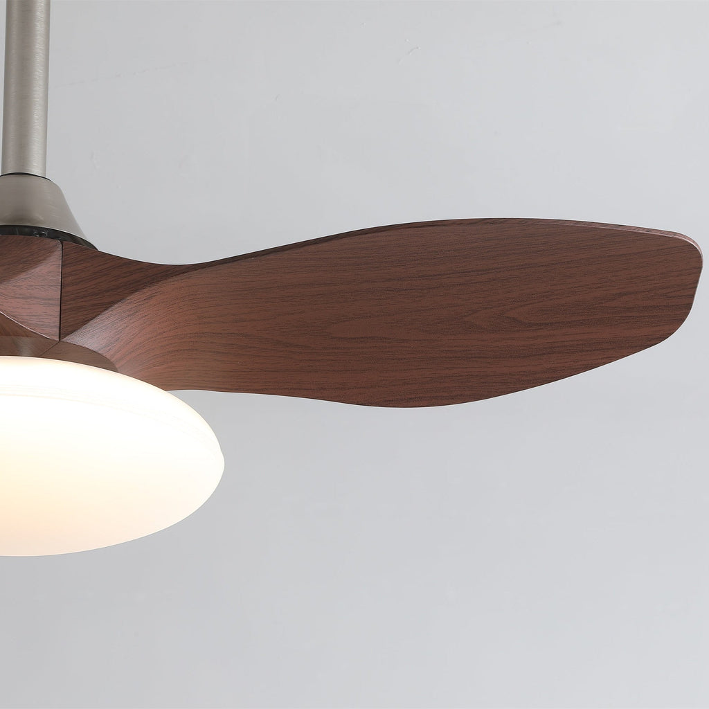 zephira-ceiling-fan-light-anzaz--5