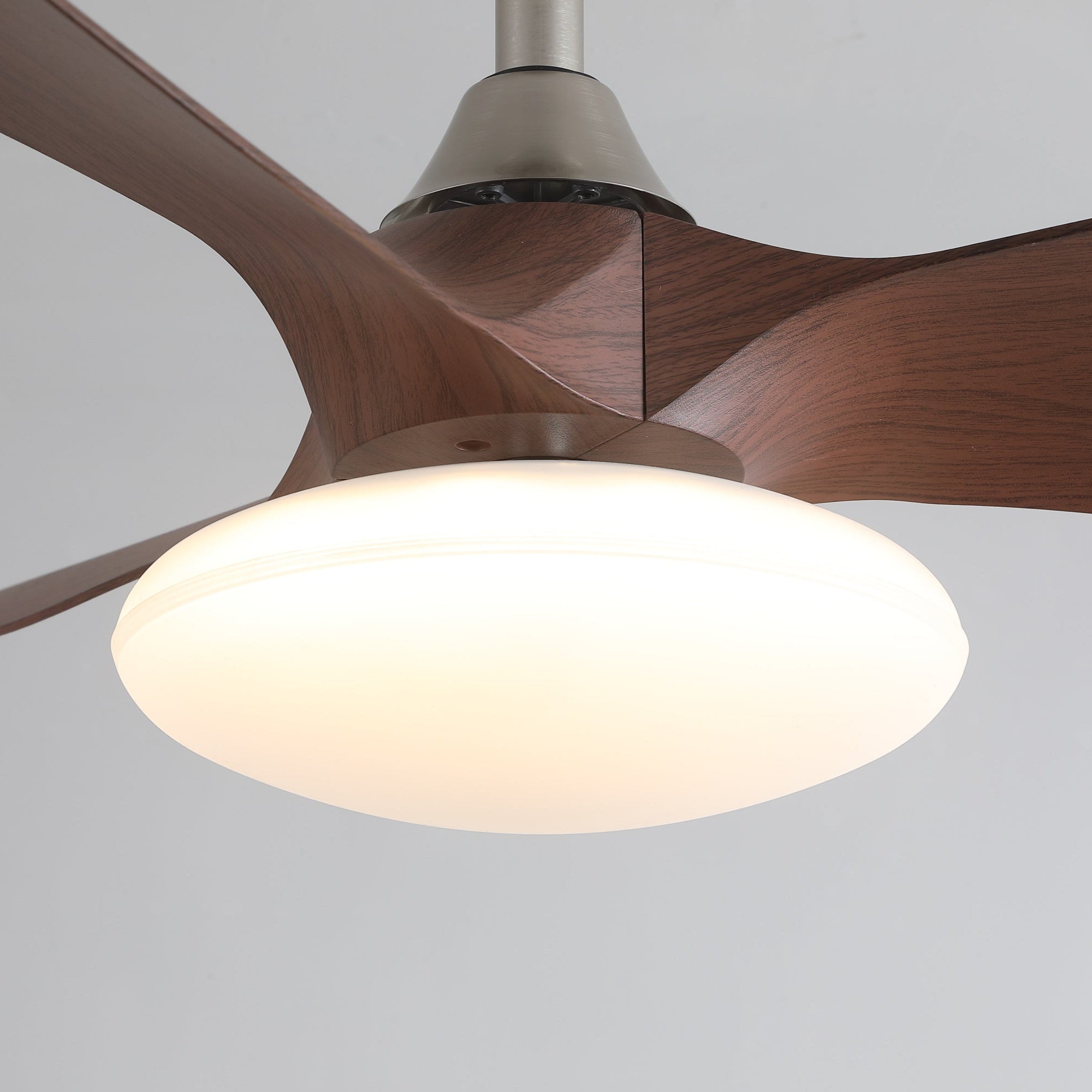 zephira-ceiling-fan-light-anzaz--6