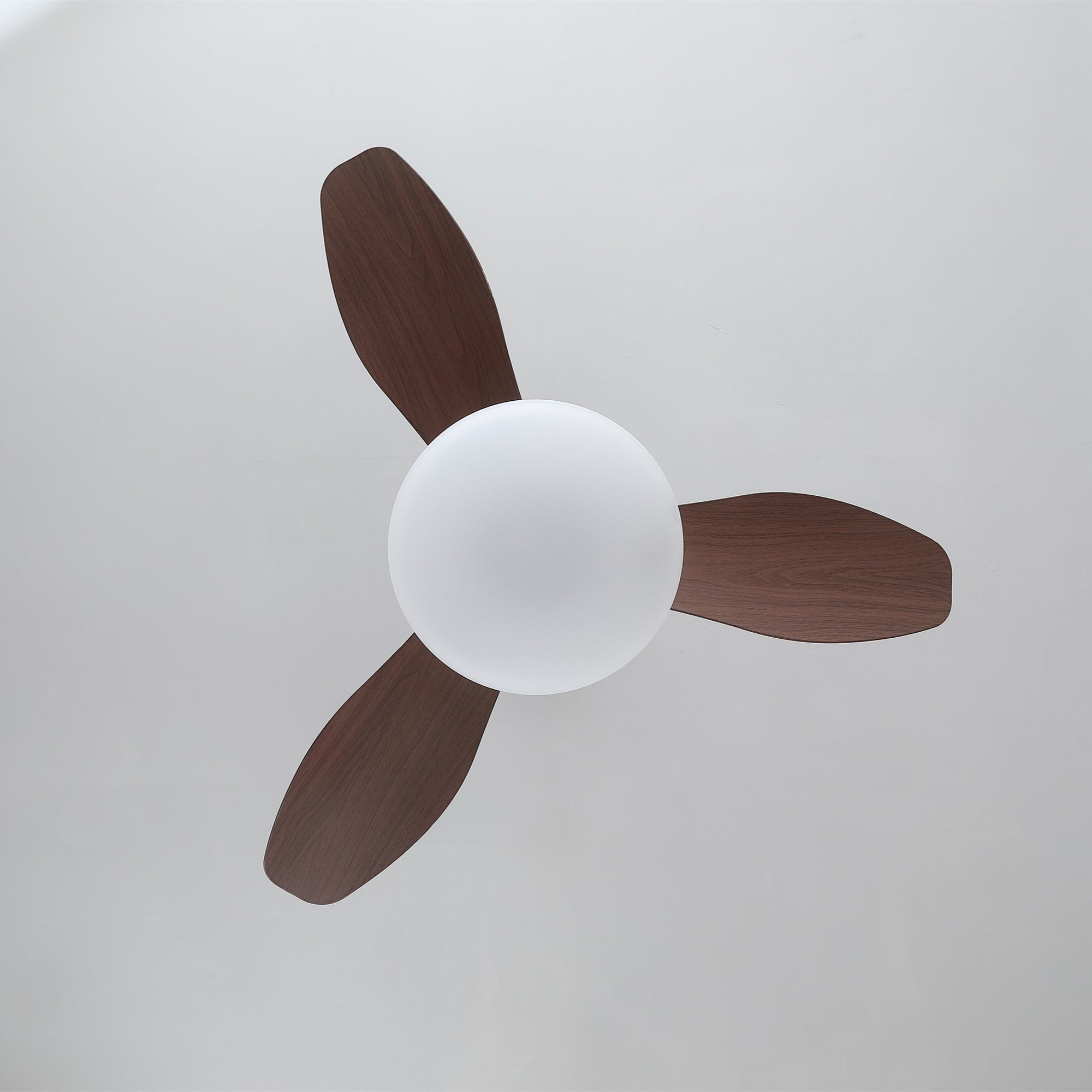 zephira-ceiling-fan-light-anzaz--9