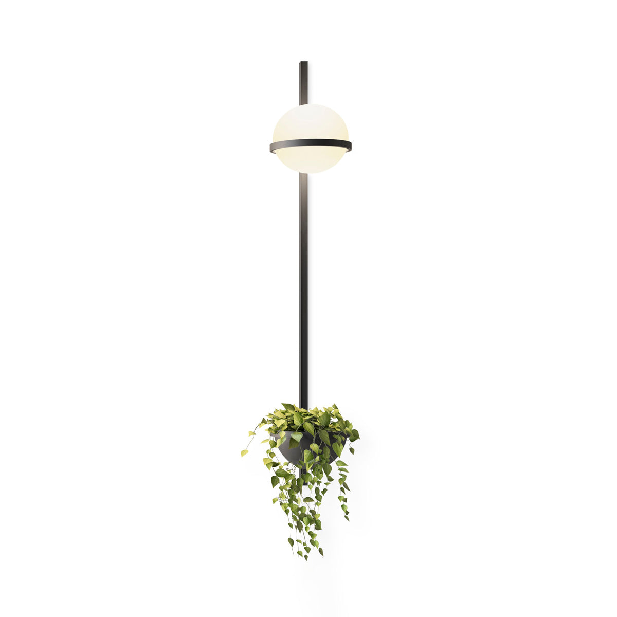 solstice-wall-light-anzaz--44