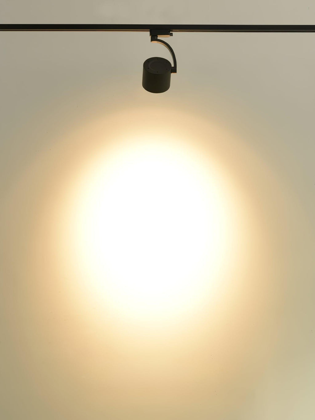 paloma-ceiling-light-anzaz--14