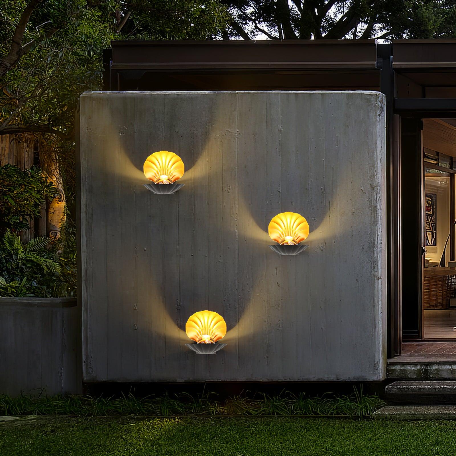 pearl-clam-wall-light-anzaz--16