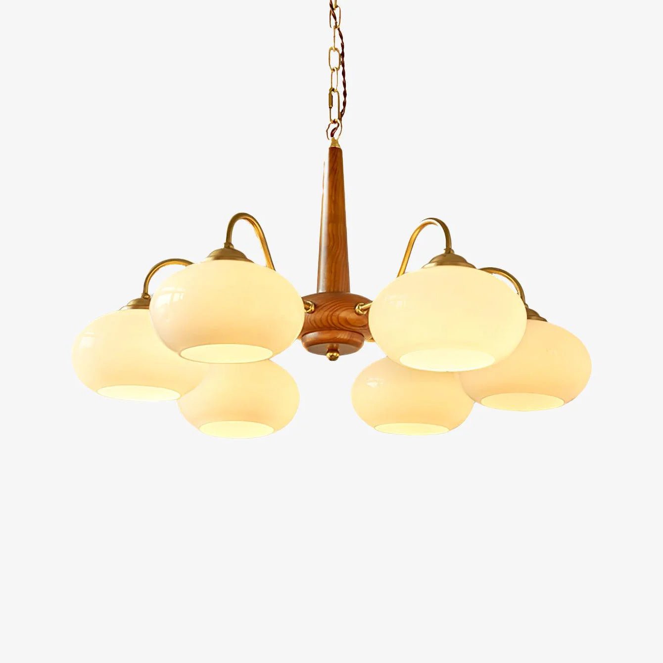 persimmon-chandelier-anzaz--35