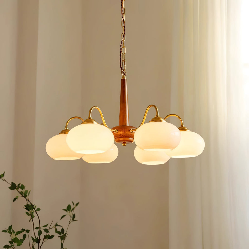 persimmon-chandelier-anzaz--36