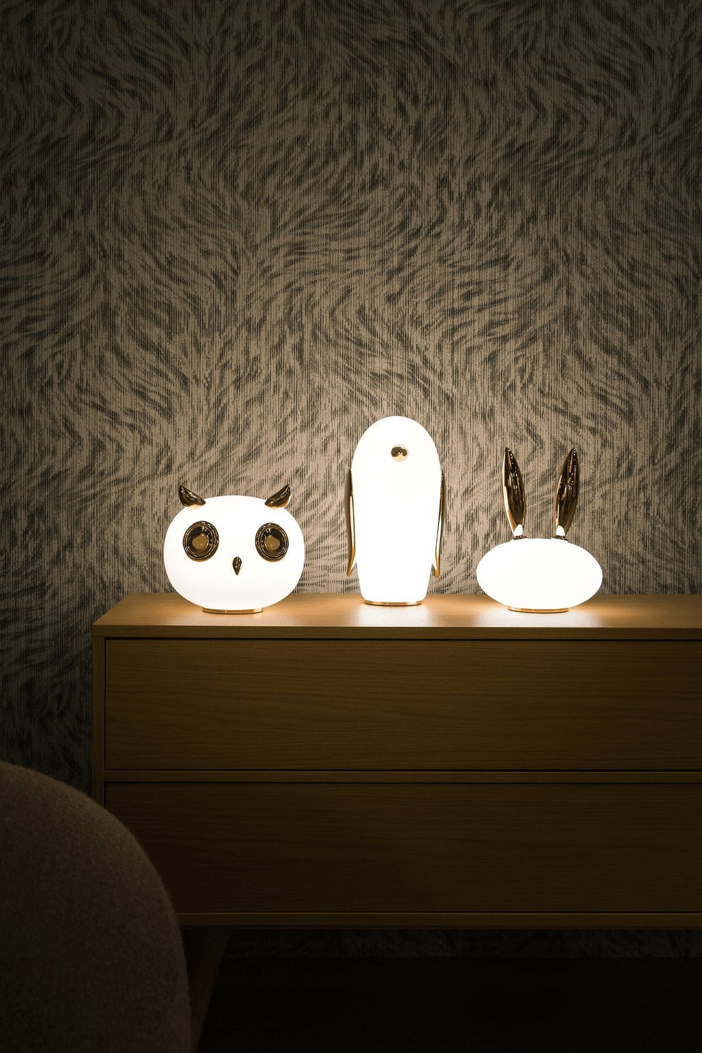 pet-light-anzaz--20
