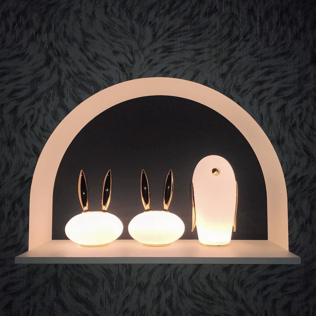 pet-light-anzaz--19