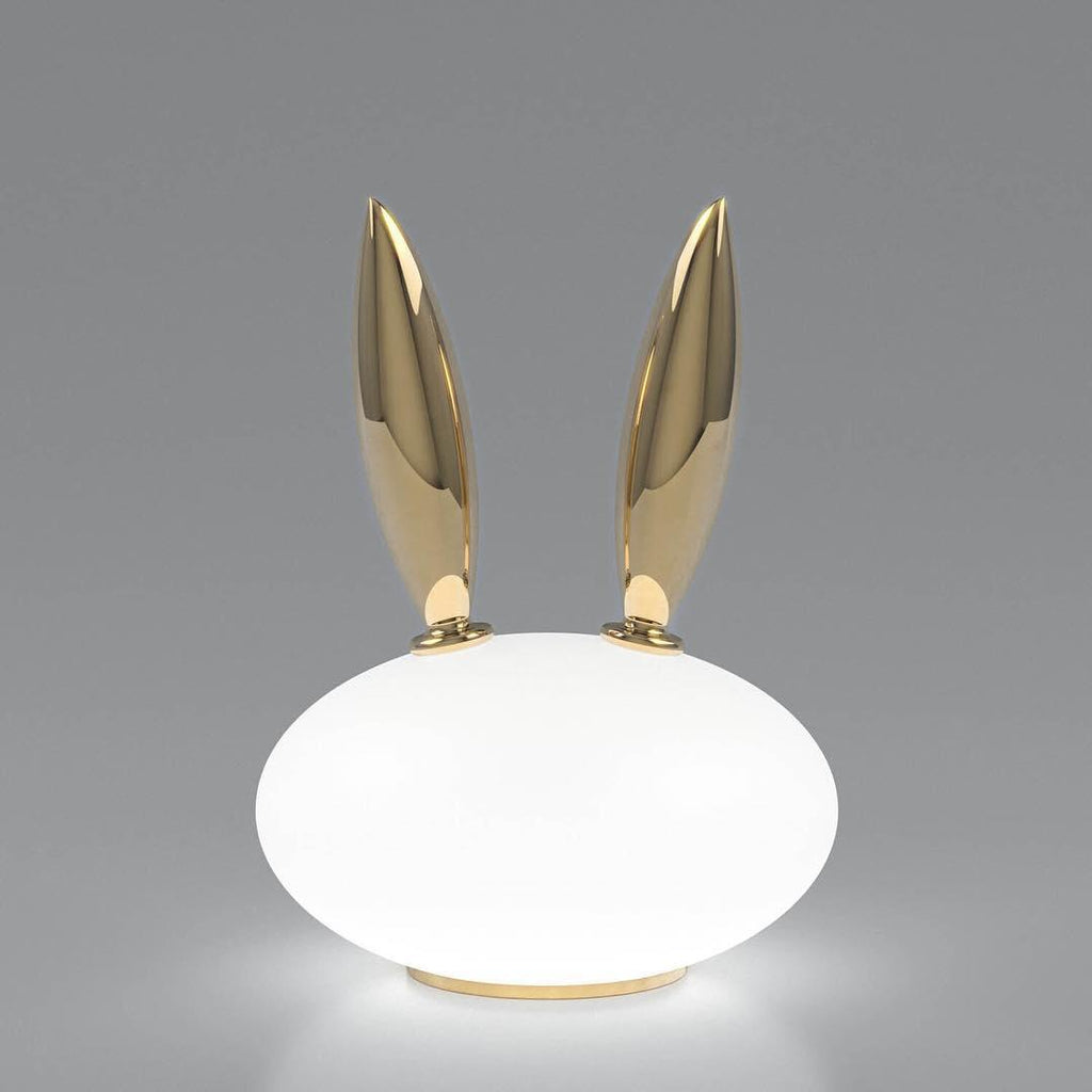pet-light-anzaz--35
