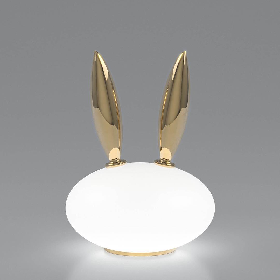 pet-light-anzaz--35