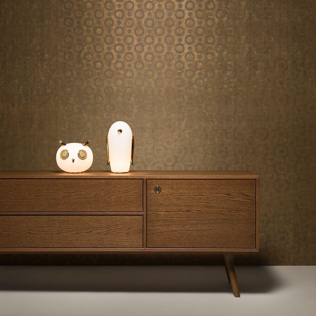 pet-light-anzaz--36