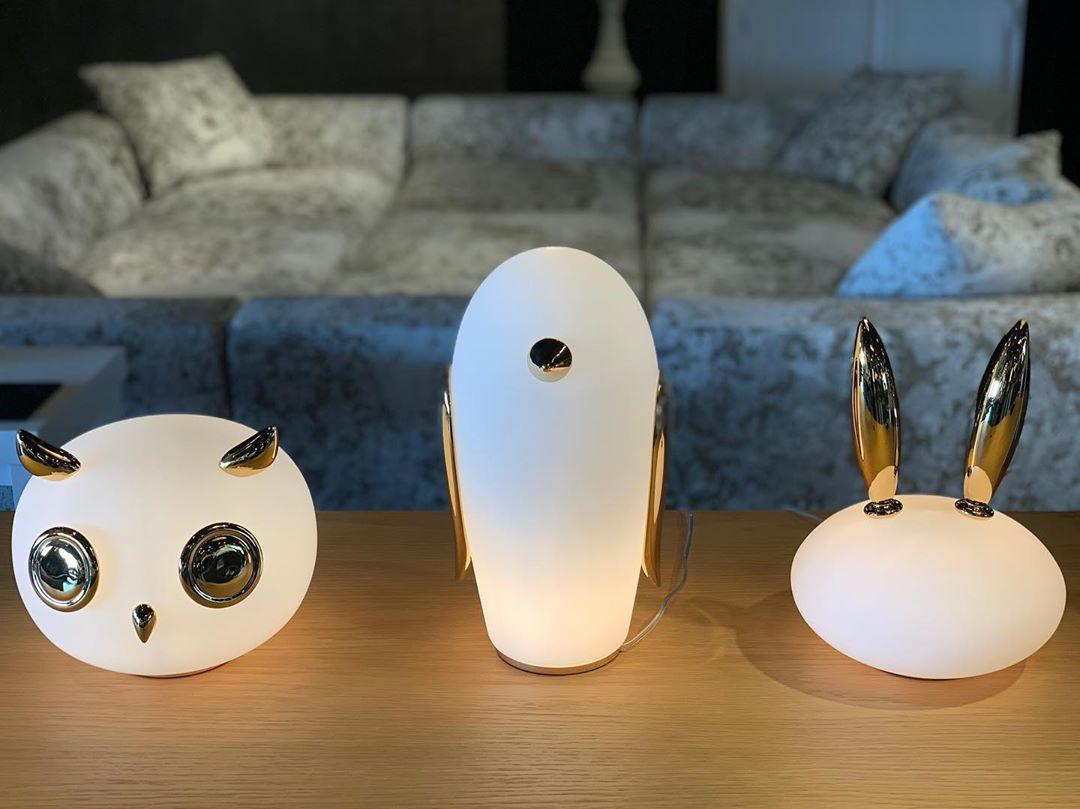 pet-light-anzaz--40