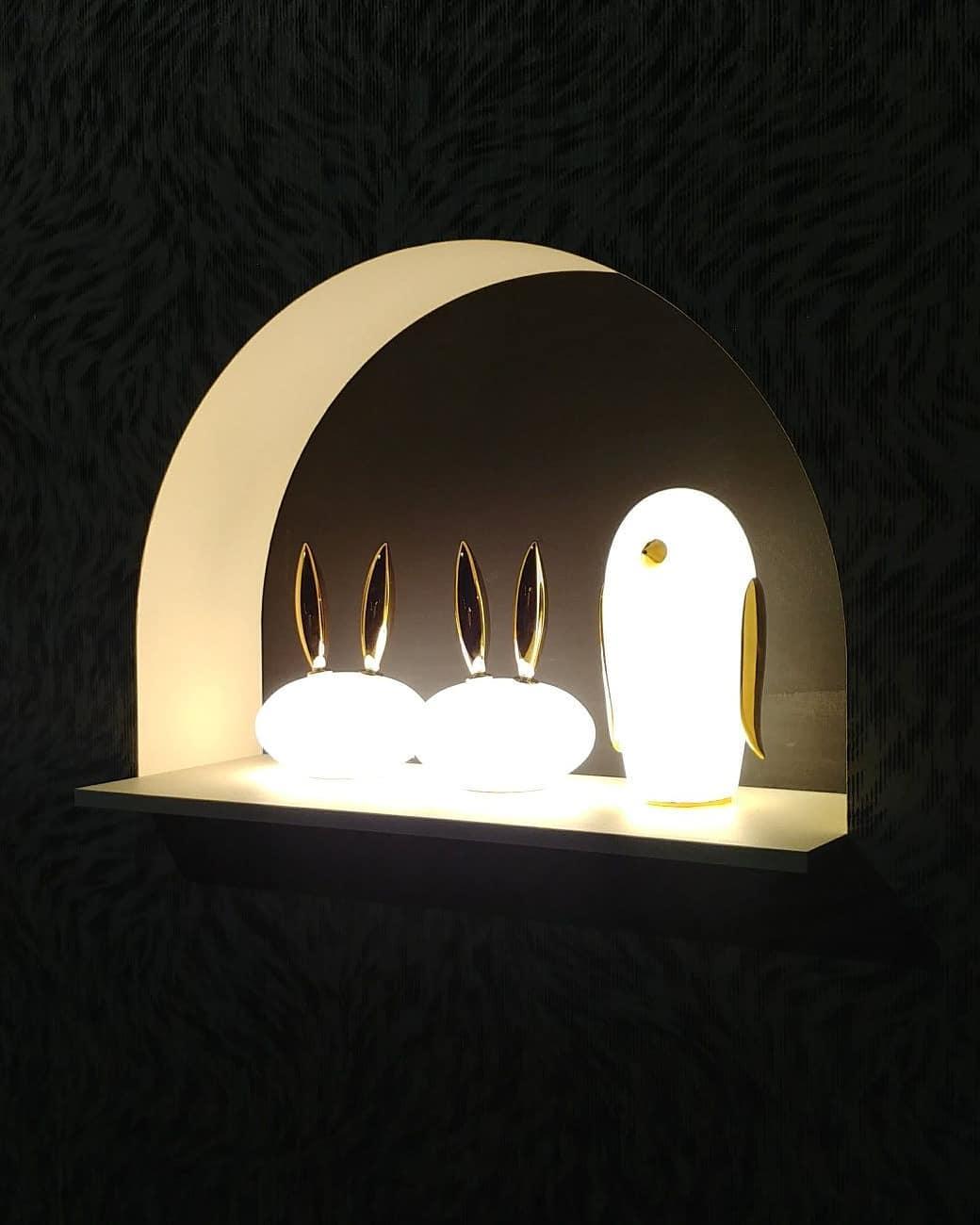 pet-light-anzaz--41