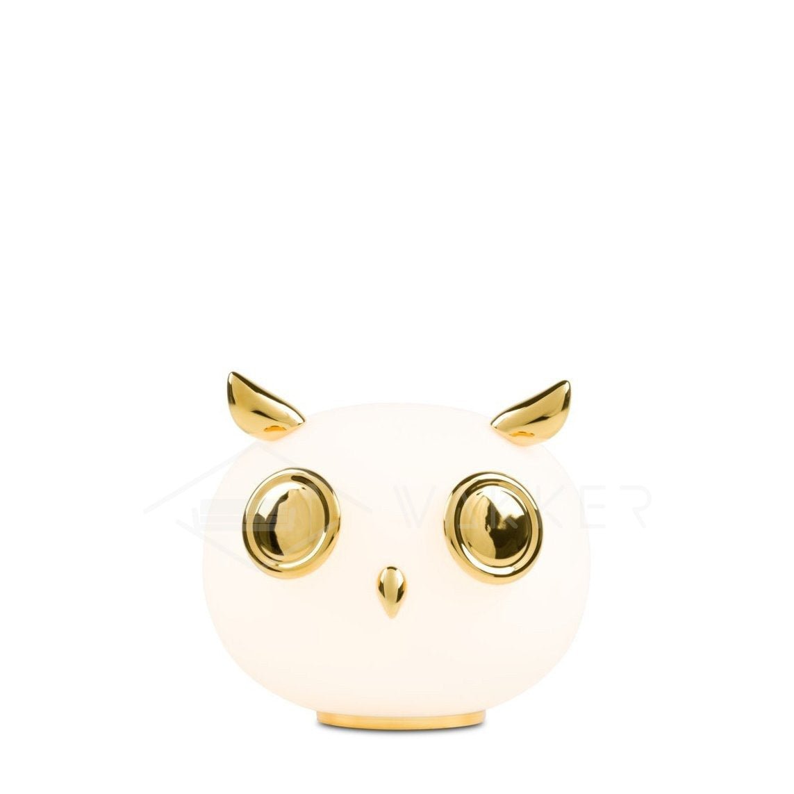 pet-light-anzaz--16