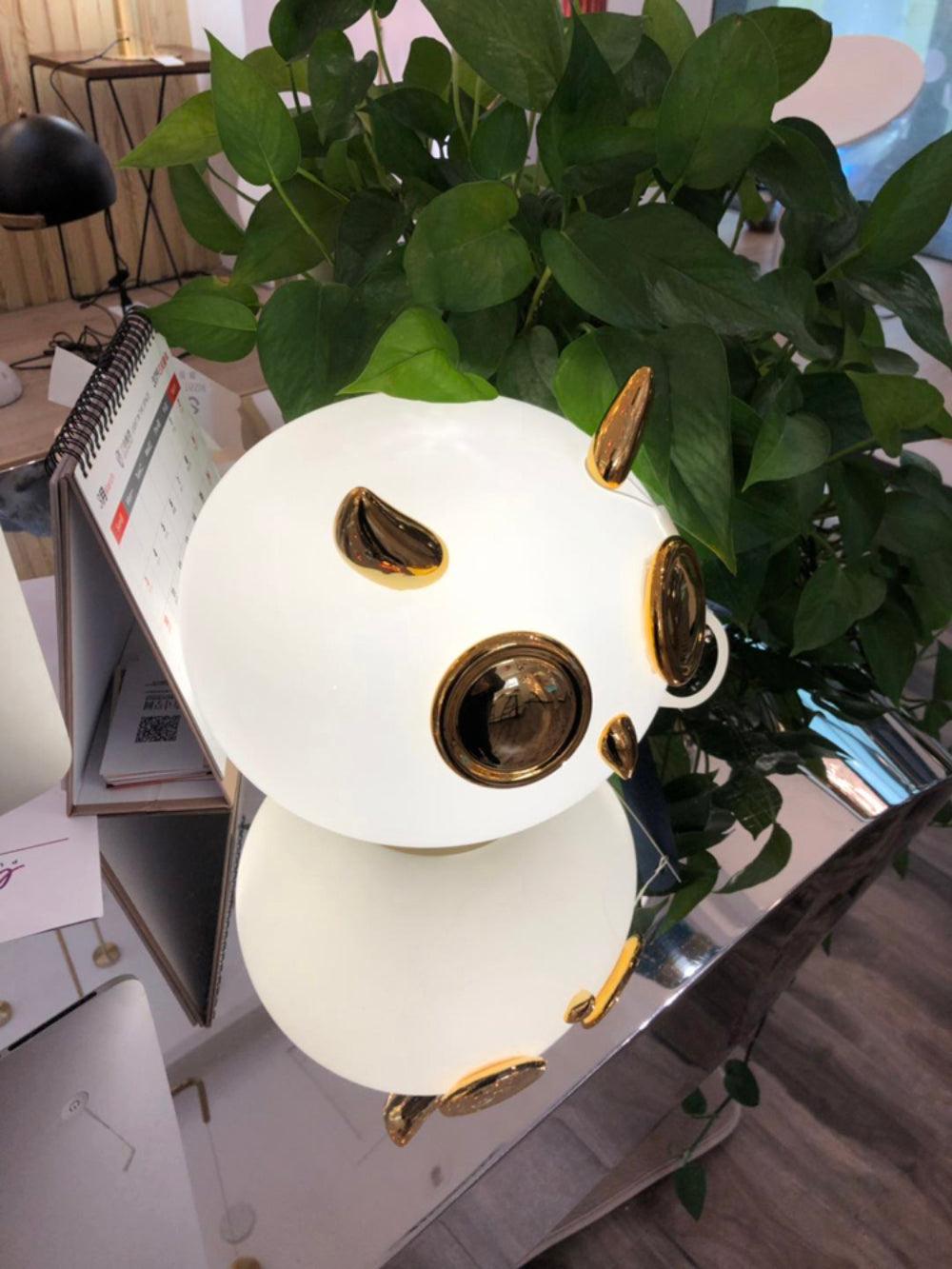 pet-light-anzaz--44