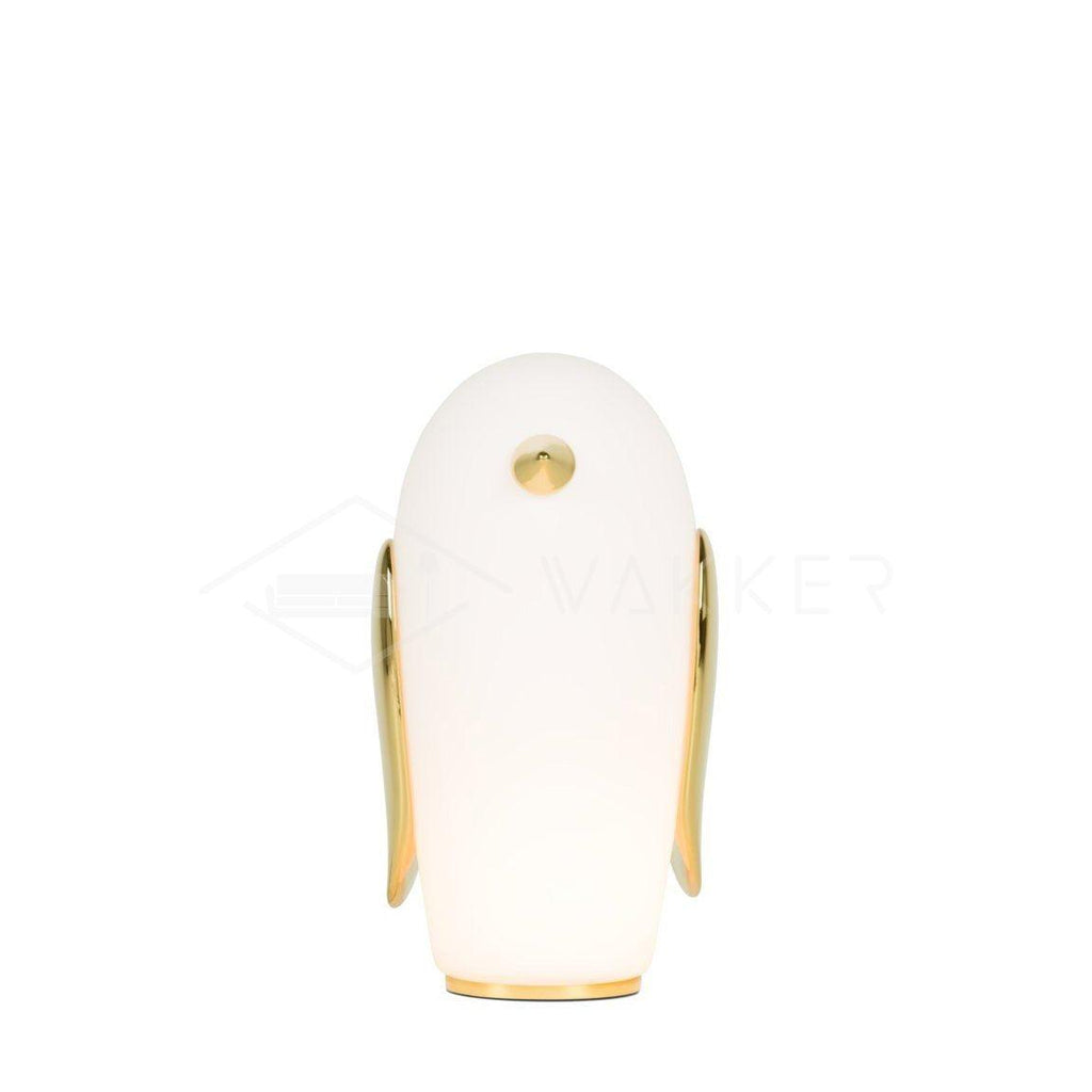 pet-light-anzaz--18