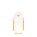 pet-light-anzaz--18