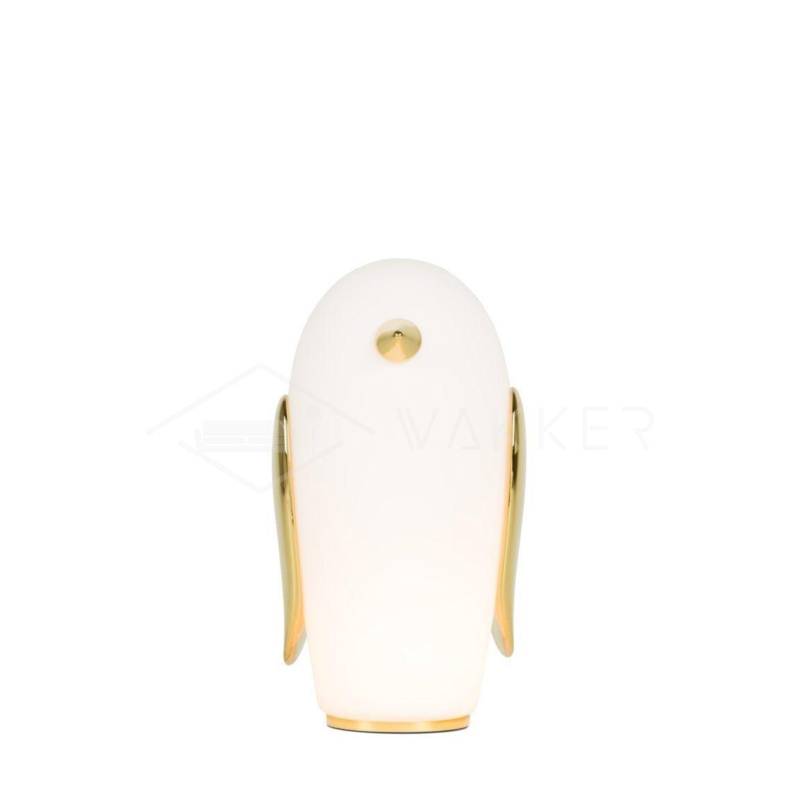 pet-light-anzaz--18