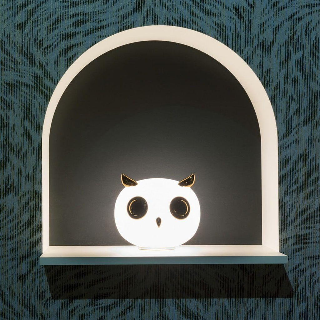 pet-light-anzaz--26