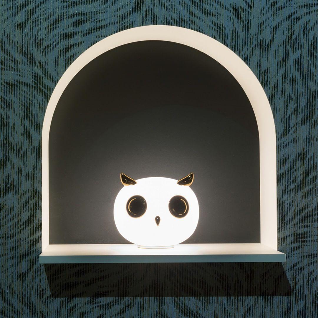 pet-light-anzaz--26