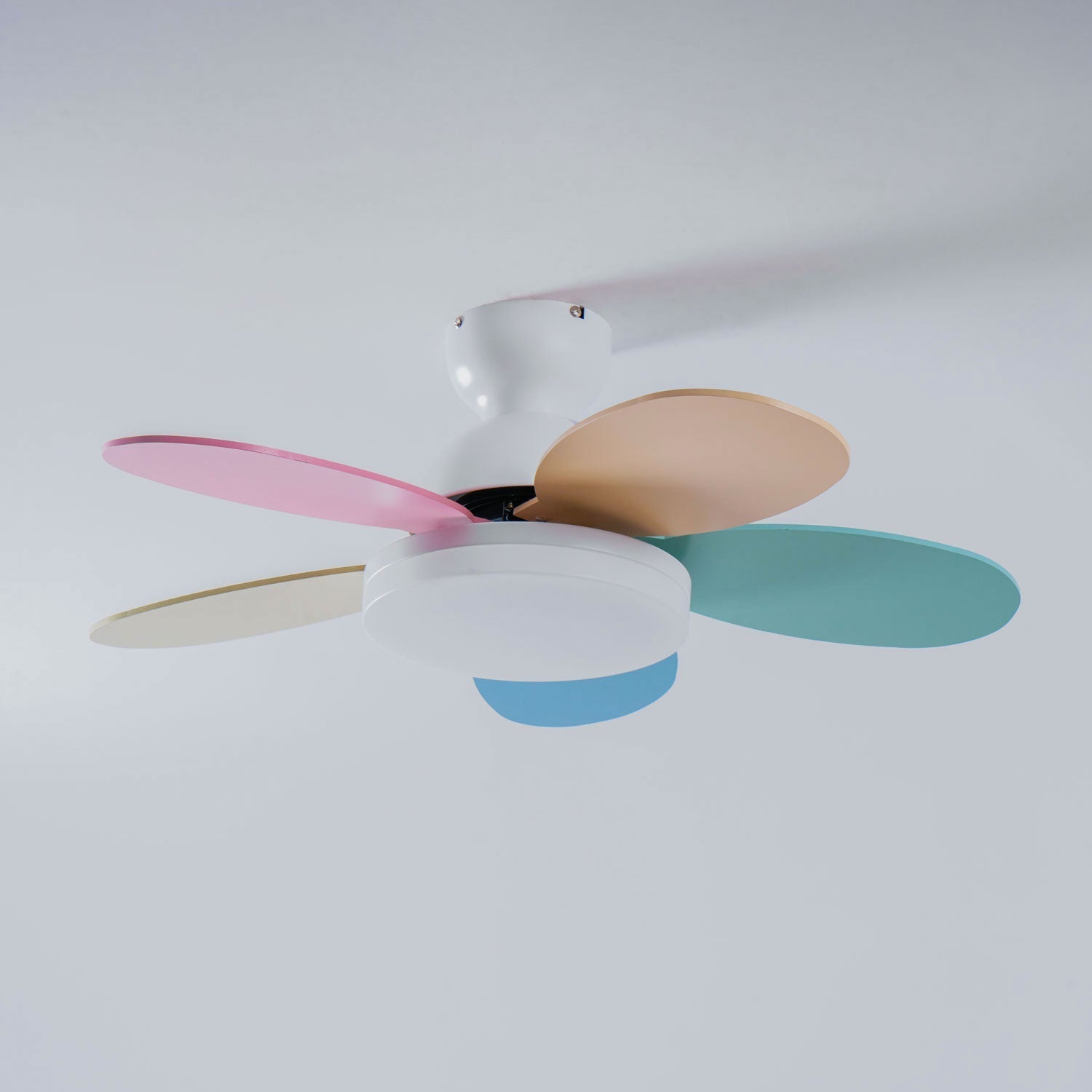 petalo-ceiling-fan-light-anzaz--49
