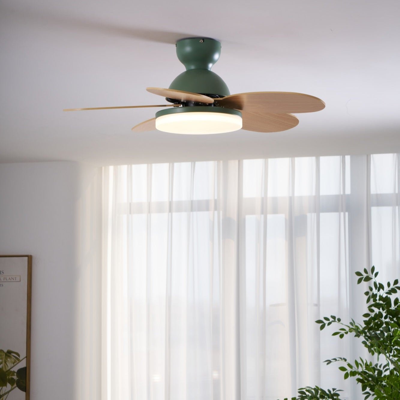 petalo-ceiling-fan-light-anzaz--23