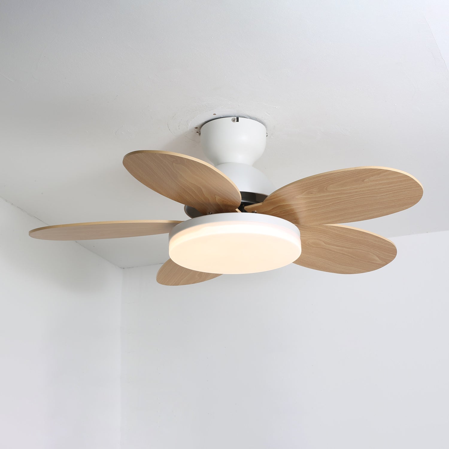 petalo-ceiling-fan-light-anzaz--20