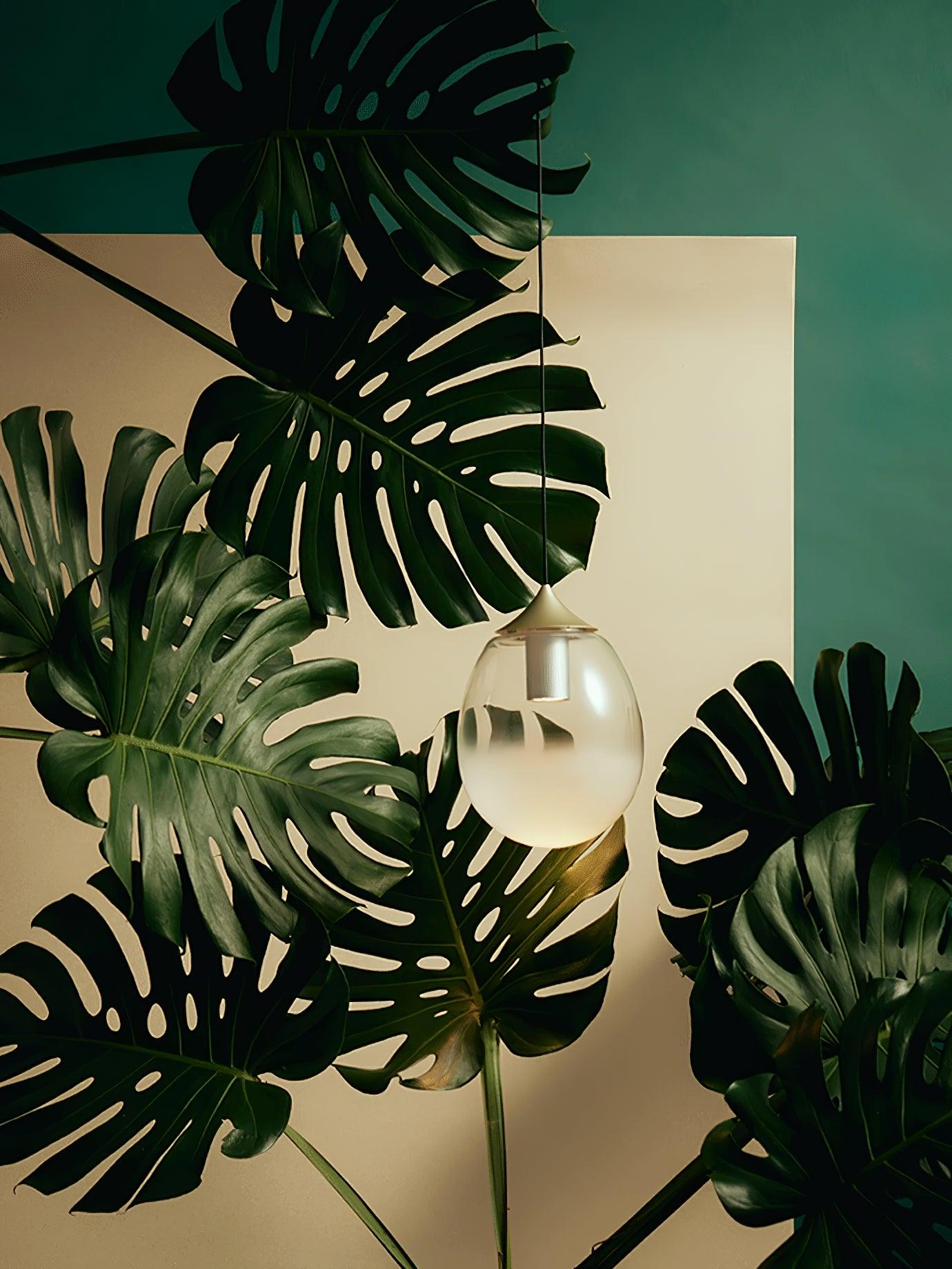 petra-pendant-light-anzaz--13