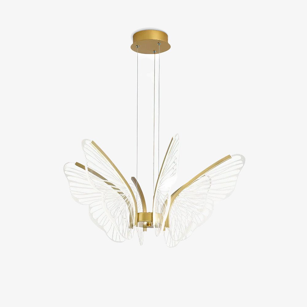 phalaenopsis-chandelier-anzaz--38